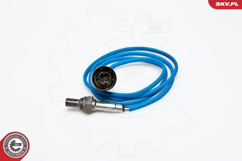 Oxygen Sensor